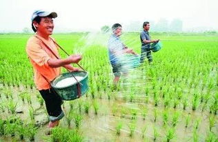 9月大批新规袭来 手机实名制要动真格